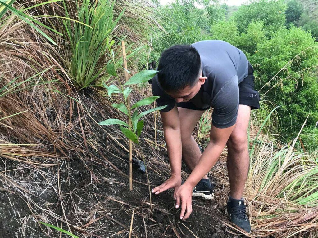 “One Man, One Tree Can Make a Forest”