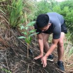 “One Man, One Tree Can Make a Forest”
