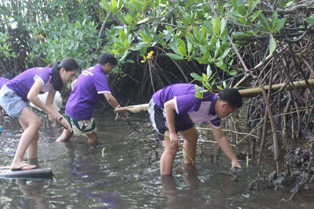 Rooted in Nature: SJC Tourism Students Lead Mangrove Planting Activity