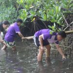 Rooted in Nature: SJC Tourism Students Lead Mangrove Planting Activity